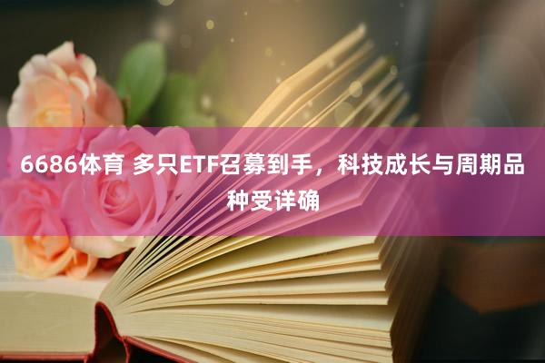 6686体育 多只ETF召募到手，科技成长与周期品种受详确