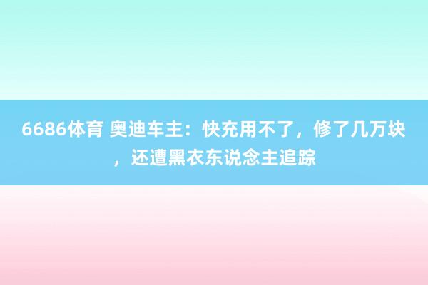 6686体育 奥迪车主：快充用不了，修了几万块，还遭黑衣东说念主追踪