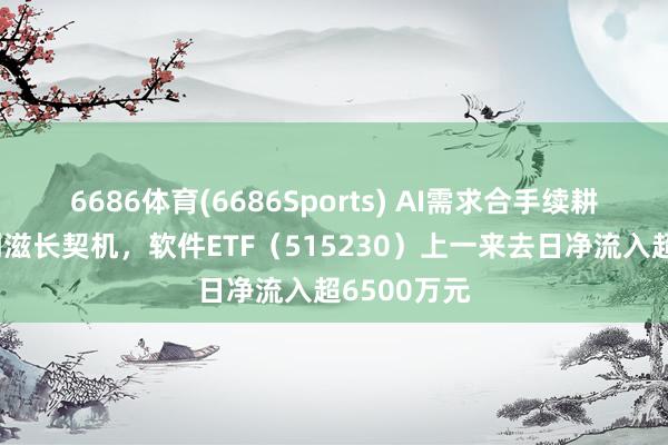 6686体育(6686Sports) AI需求合手续耕种，软件侧滋长契机，软件ETF（515230）上一来去日净流入超6500万元