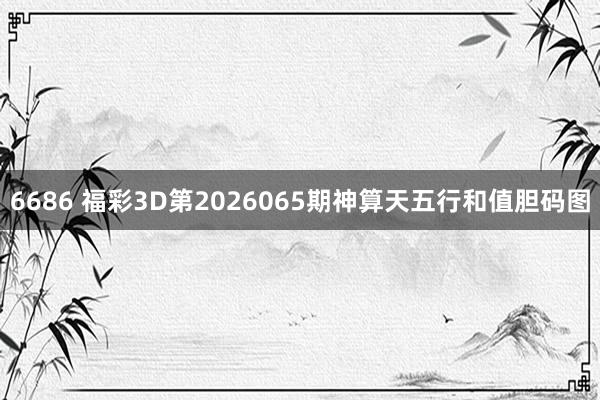 6686 福彩3D第2026065期神算天五行和值胆码图