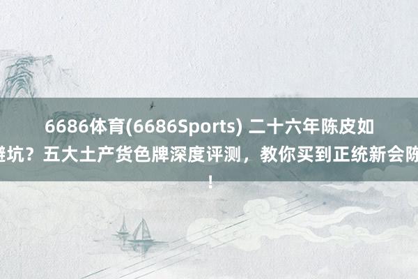 6686体育(6686Sports) 二十六年陈皮如何避坑？五大土产货色牌深度评测，教你买到正统新会陈皮！