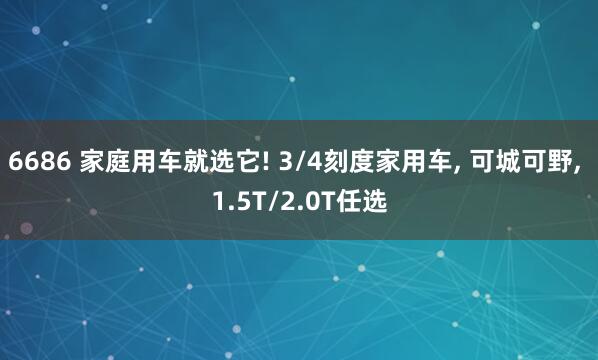 6686 家庭用车就选它! 3/4刻度家用车， 可城可野， 1.5T/2.0T任选