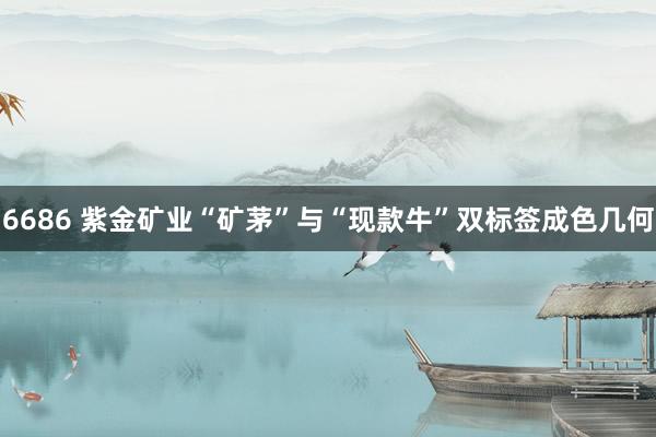 6686 紫金矿业“矿茅”与“现款牛”双标签成色几何