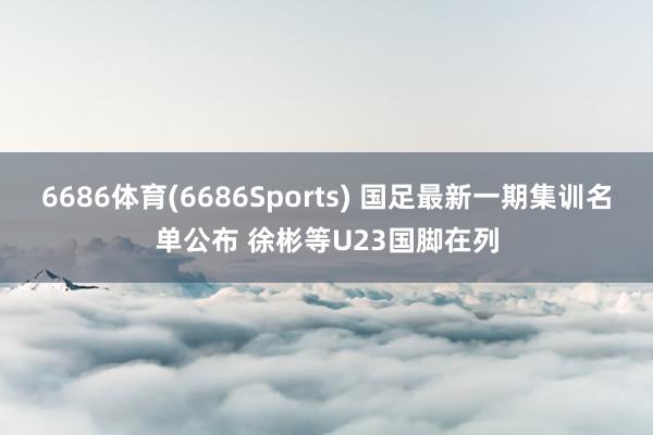 6686体育(6686Sports) 国足最新一期集训名单公布 徐彬等U23国脚在列