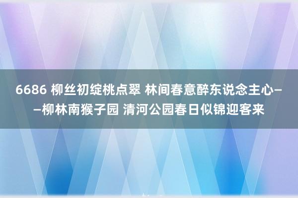 6686 柳丝初绽桃点翠 林间春意醉东说念主心——柳林南猴子园 清河公园春日似锦迎客来