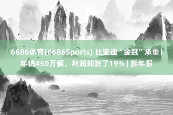 6686体育(6686Sports) 比亚迪“金冠”承重！年销450万辆，利润却跌了19% | 拆年报