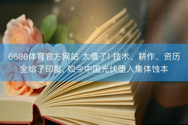 6686体育官方网站 太傻了! 技术、耕作、资历全给了印度， 如今中国光伏堕入集体蚀本