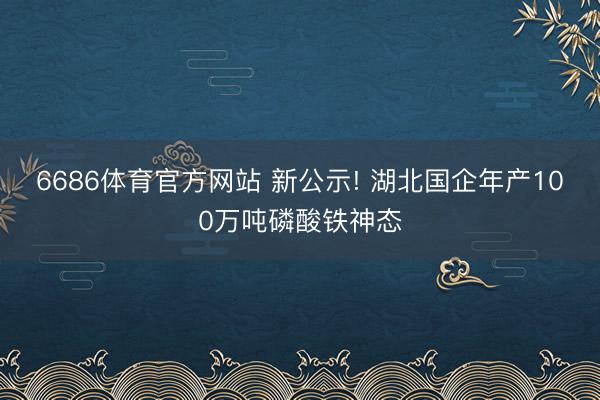 6686体育官方网站 新公示! 湖北国企年产100万吨磷酸铁神态