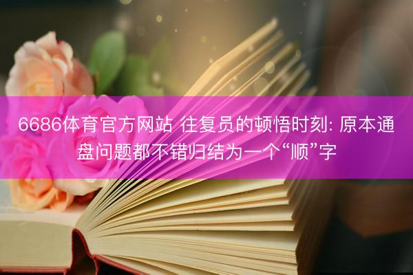 6686体育官方网站 往复员的顿悟时刻: 原本通盘问题都不错归结为一个“顺”字