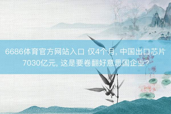 6686体育官方网站入口 仅4个月， 中国出口芯片7030亿元， 这是要卷翻好意思国企业?