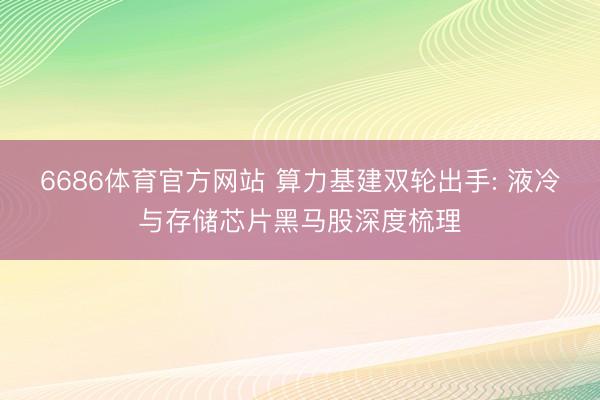 6686体育官方网站 算力基建双轮出手: 液冷与存储芯片黑马股深度梳理