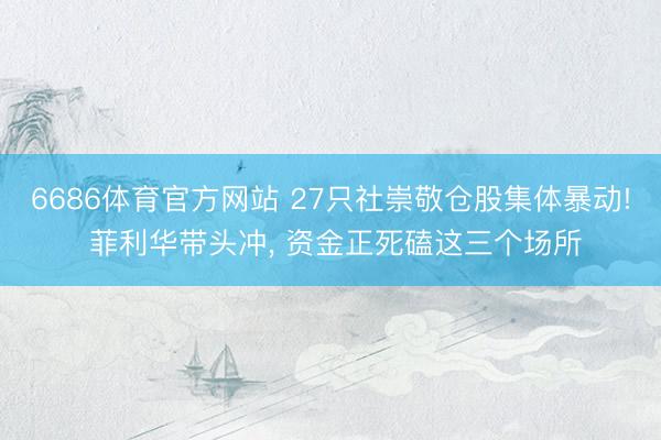 6686体育官方网站 27只社崇敬仓股集体暴动! 菲利华带头冲， 资金正死磕这三个场所